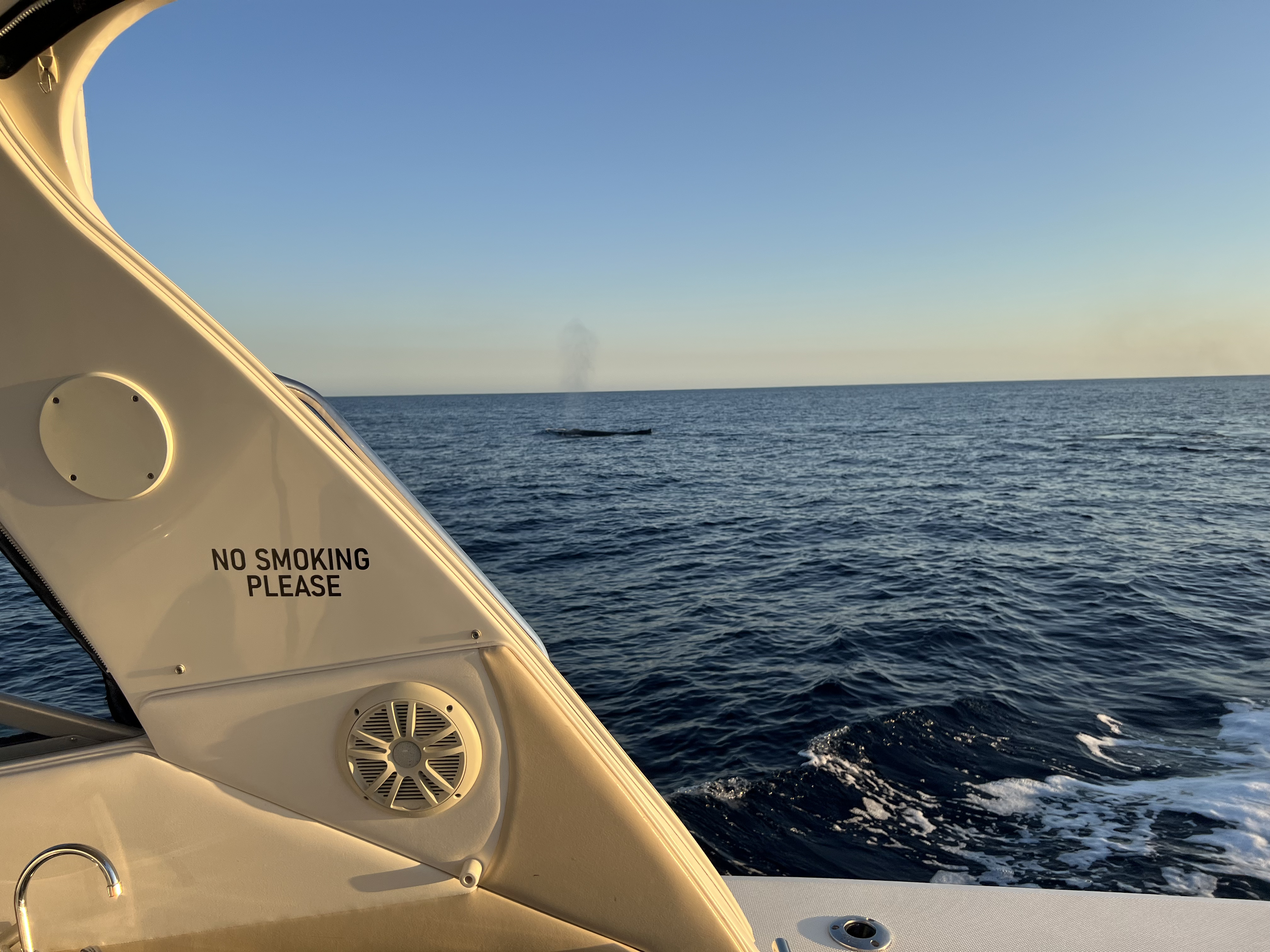 ./2024/13 - Cabo/IMG_4726.jpg